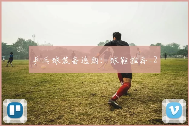 乒乓球装备选购：球鞋推荐_2