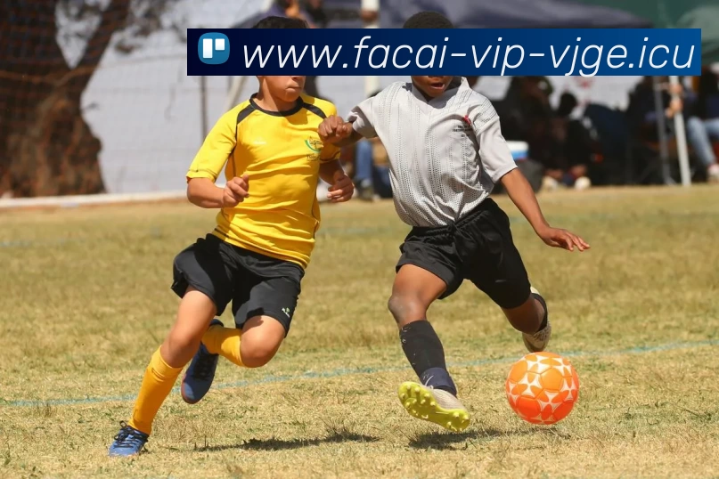 九游体育注册全站App